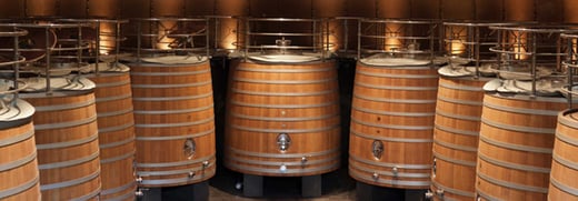 Fermentación del Vino: Qué es, Factores y Tiempo del Proceso